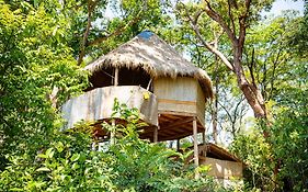 Kactus - Your Island Sanctuary